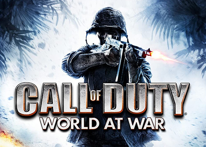 Call of duty World at War poster featuring a solder in a jungle.